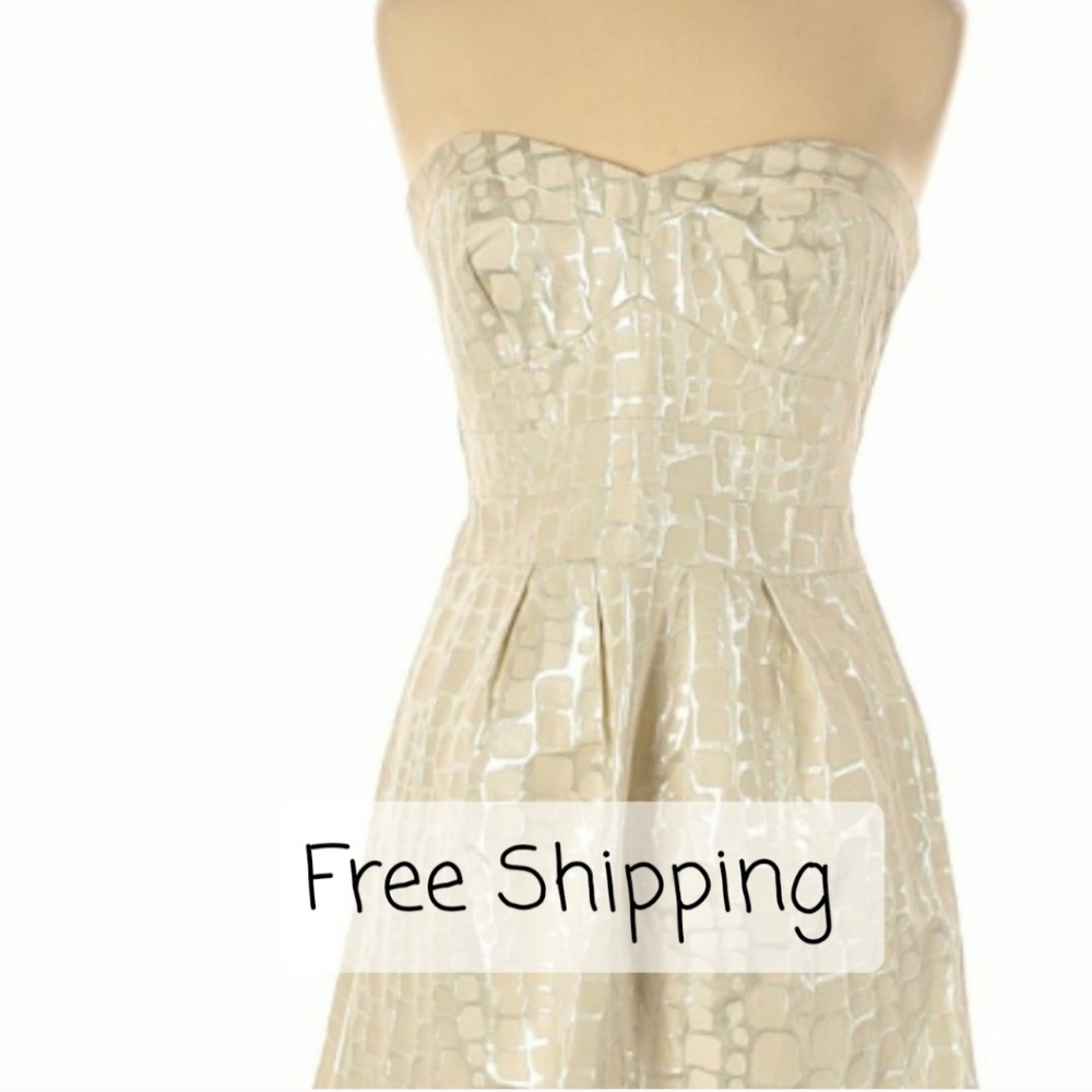 Cream and Sliver Strapless American Eagle dress